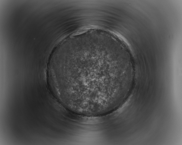 X0000089700921200707121351