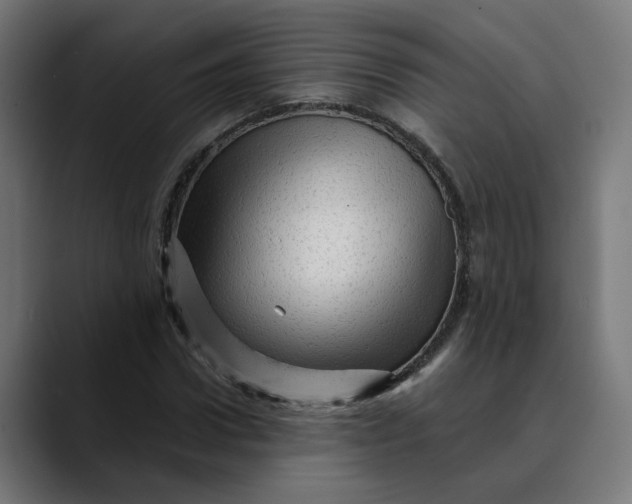 X0000089700922200707121351