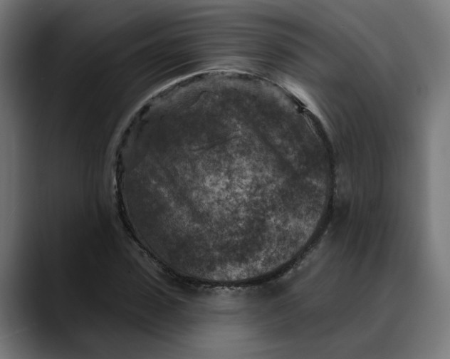 X0000089700923200707121351