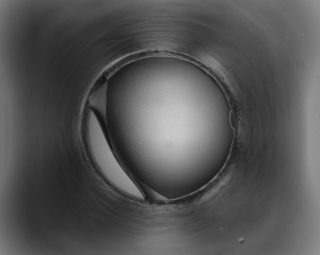 X0000089700924200707121351