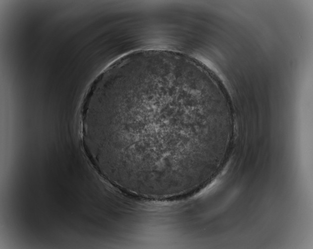 X0000089700925200707121351