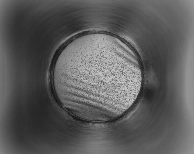 X0000089700928200707121351