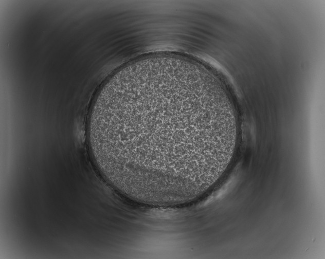 X0000089700929200707121351