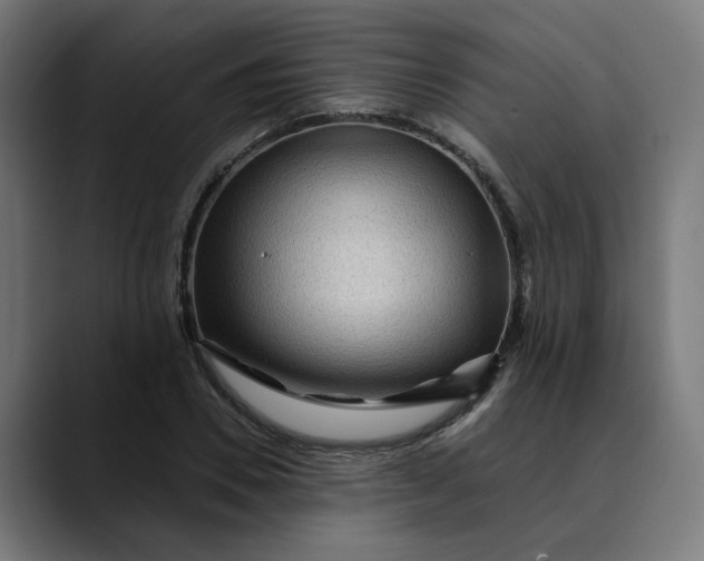 X0000089700930200707121351