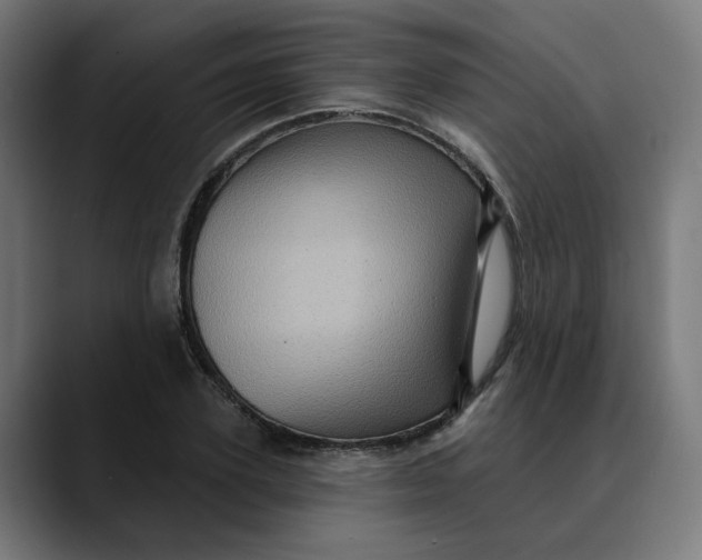 X0000089700931200707121351