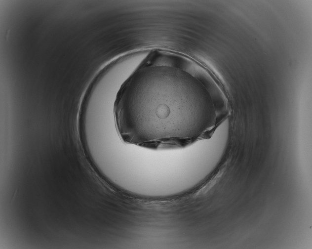 X0000089700932200707121351