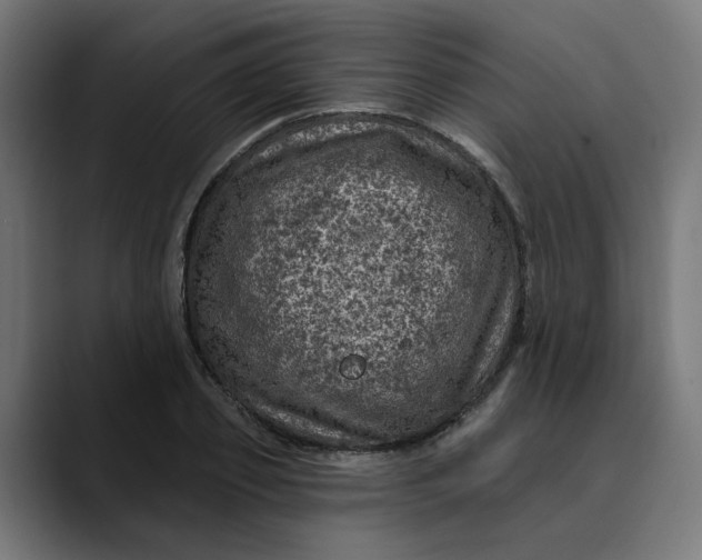 X0000089700933200707121351