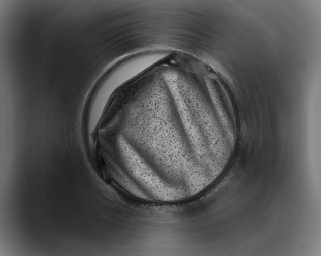 X0000089700934200707121351