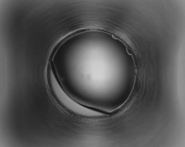 X0000089700936200707121351