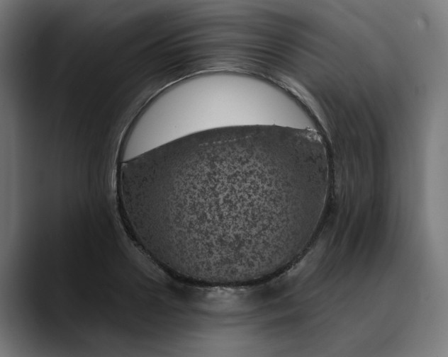 X0000089700938200707121351