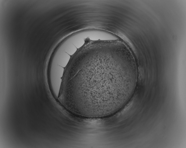 X0000089700939200707121351