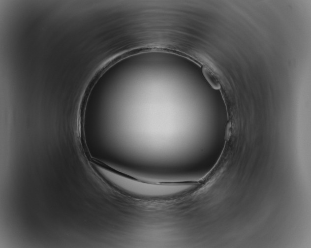 X0000089700940200707121351