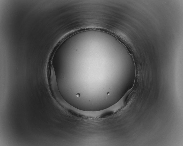 X0000089700942200707121351