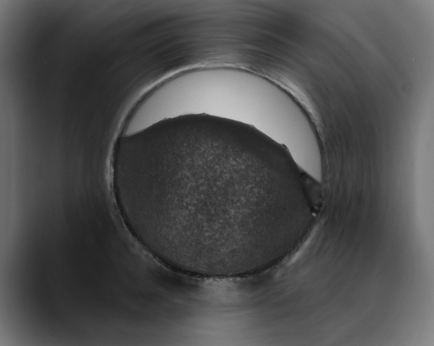 X0000089700944200707121351