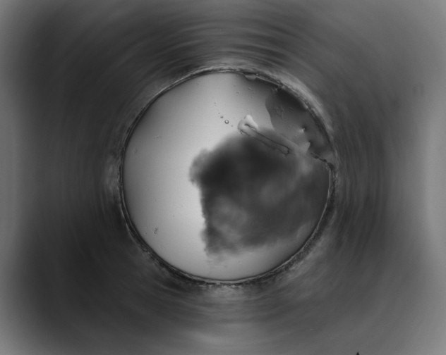 X0000089700945200707121351