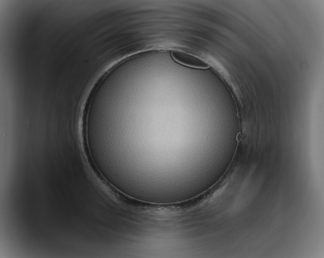 X0000089700947200707121351