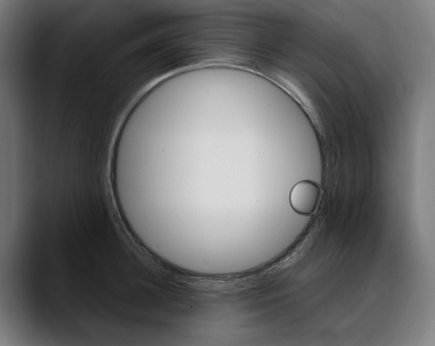 X0000089700948200707121351