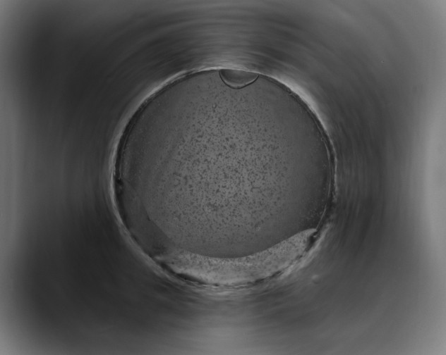 X0000089700949200707121351