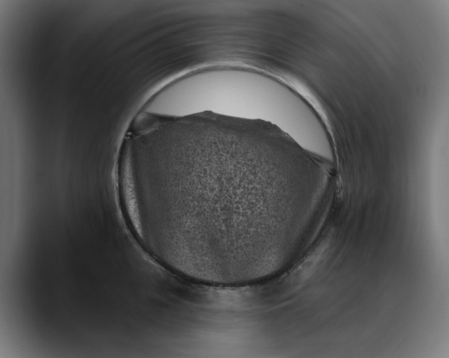 X0000089700951200707121351