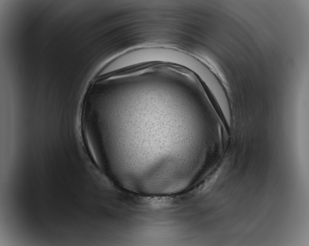 X0000089700952200707121351