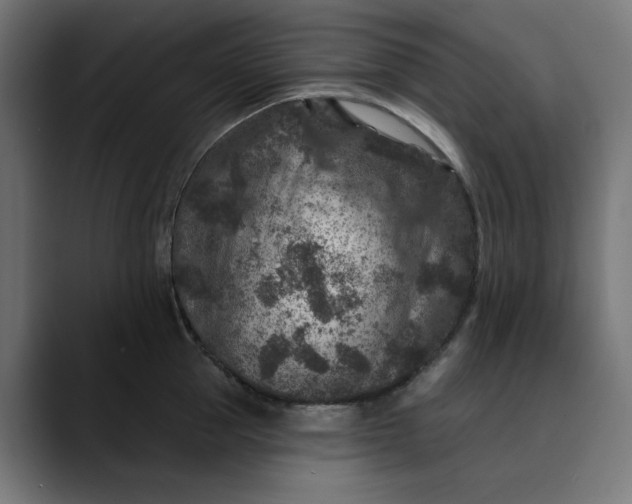 X0000089700953200707121351