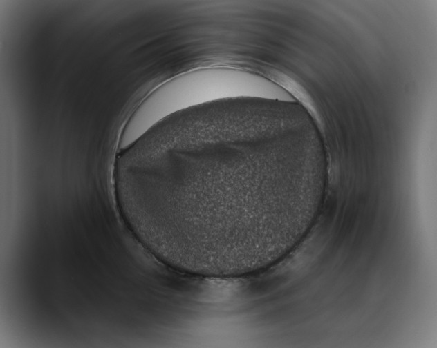 X0000089700954200707121351