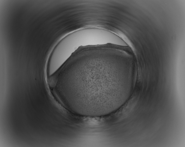 X0000089700955200707121351