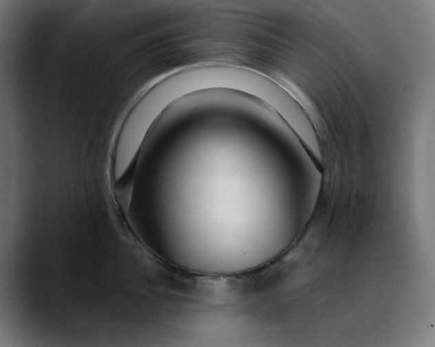 X0000089700956200707121352