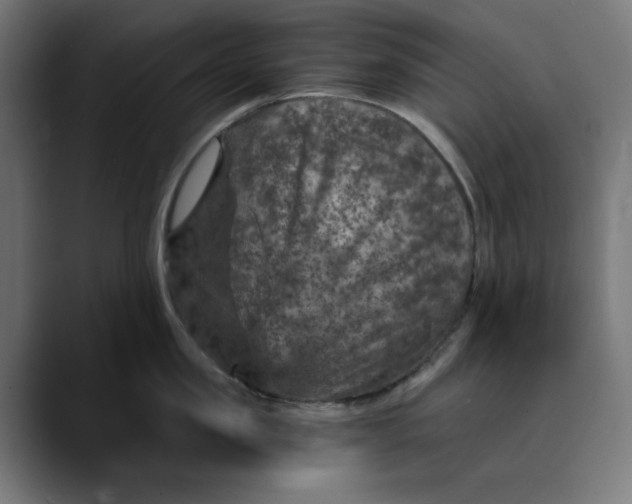 X0000089700957200707121352