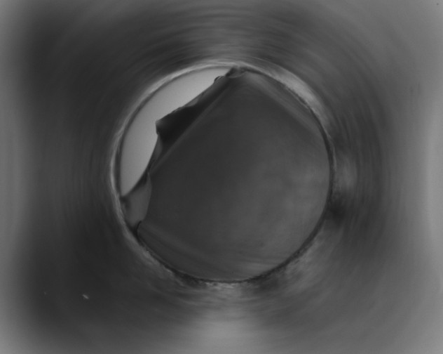 X0000089700958200707121352