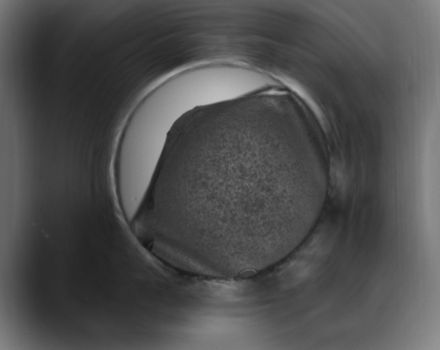 X0000089700959200707121352