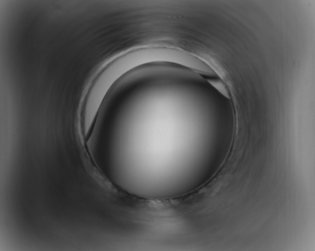 X0000089700960200707121352