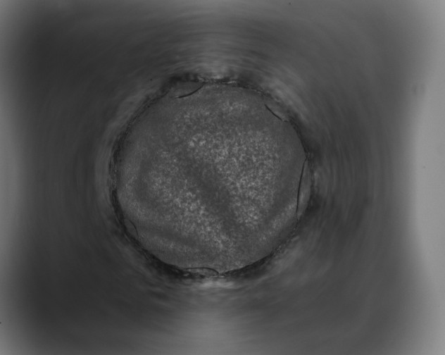 X0000089700961200707121351