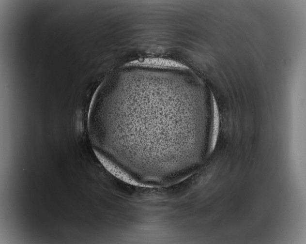 X0000089700962200707121351