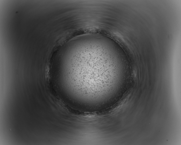 X0000089700964200707121351