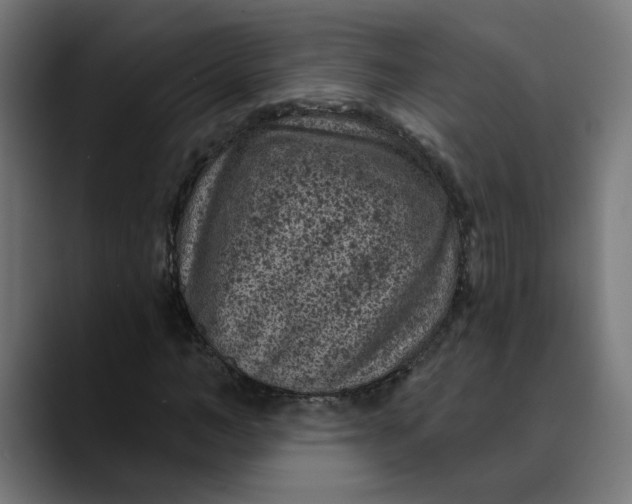 X0000089700966200707121351