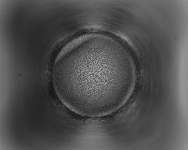 X0000089700967200707121351