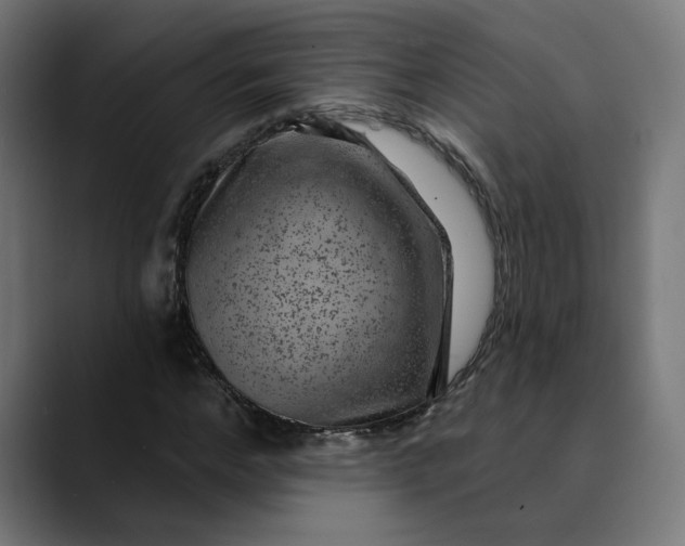 X0000089700968200707121351