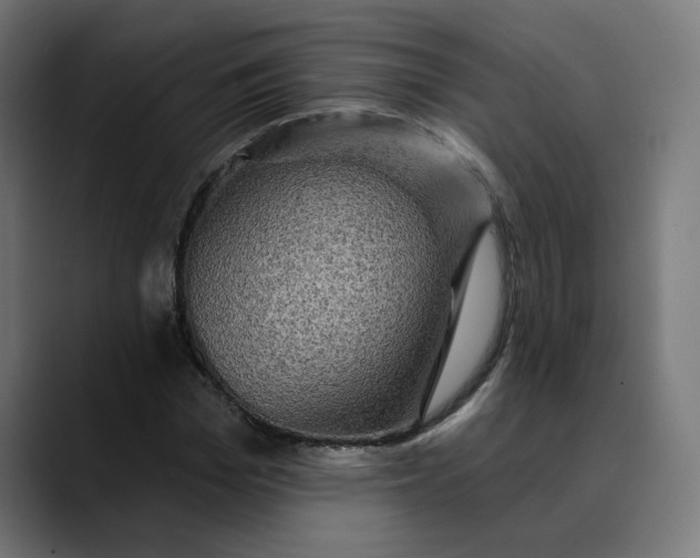 X0000089700969200707121351