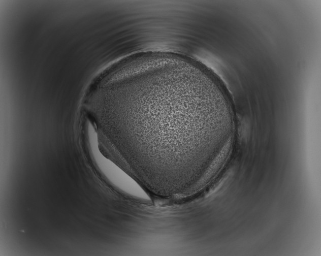 X0000089700971200707121351