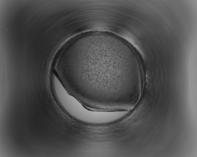 X0000089700972200707121351