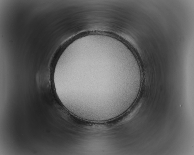 X0000089700974200707121351