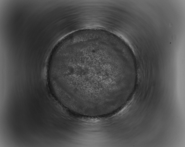 X0000089700975200707121351