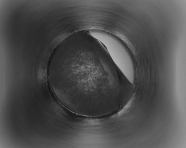 X0000089700977200707121351