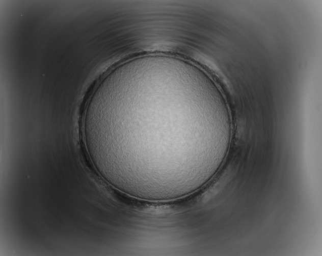 X0000089700978200707121351