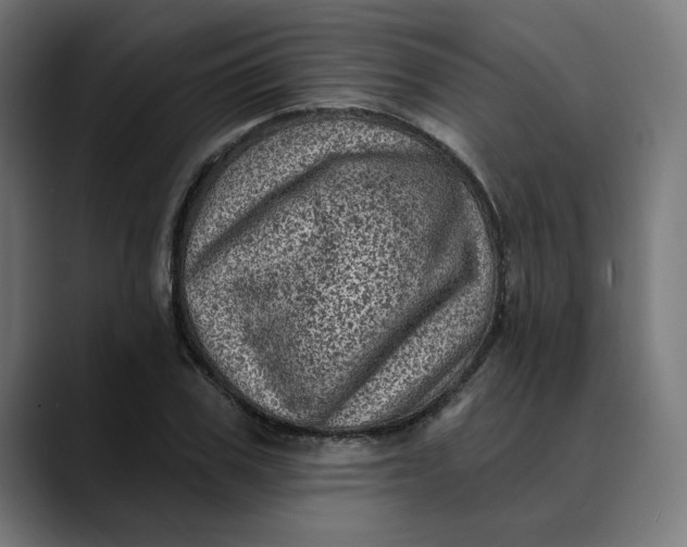 X0000089700979200707121351