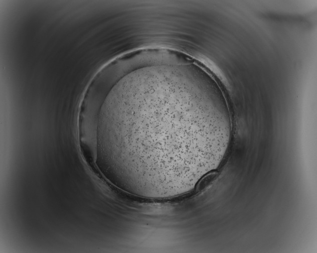 X0000089700980200707121351