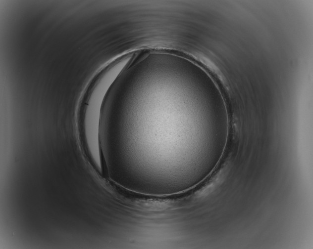 X0000089700981200707121351