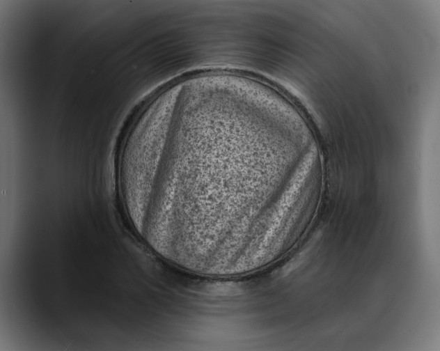 X0000089700982200707121351