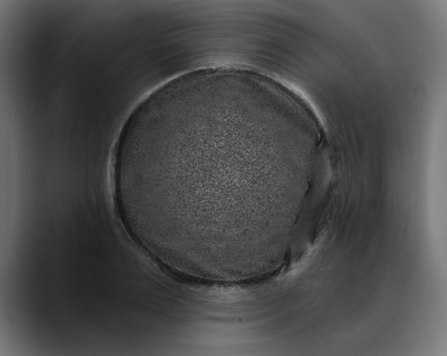 X0000089700983200707121351